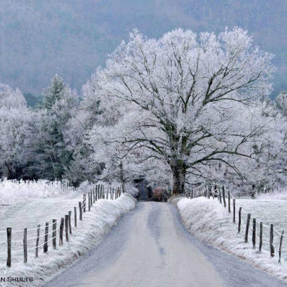 Meet your Posher, Rita